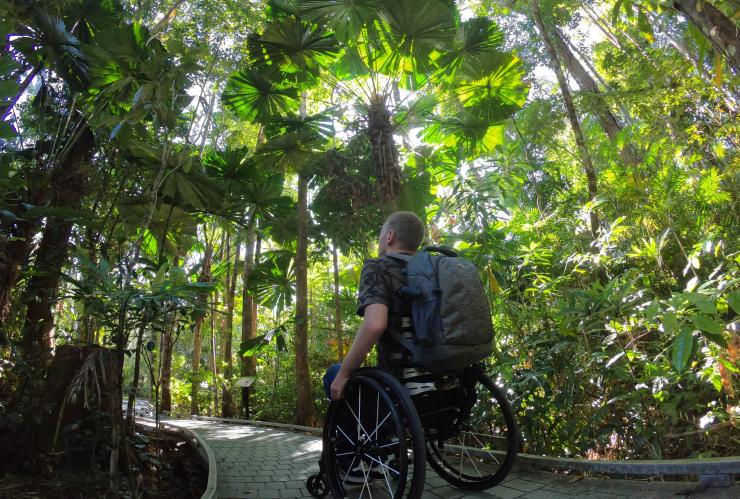 Người đàn ông trên xe lăn đang chiêm ngưỡng tán rừng của Rừng mưa nhiệt đới Daintree, Queensland © Tourism and Events Queensland