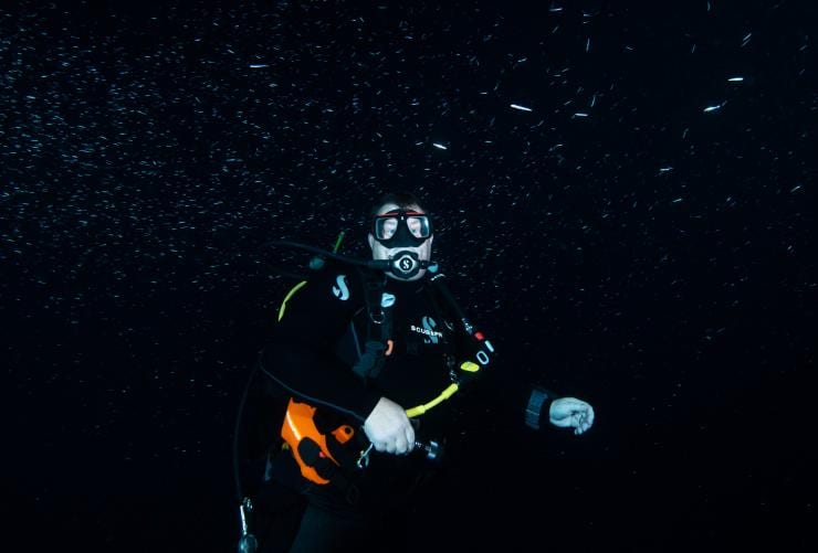 Perth Scuba, Perth, WA © Perth Scuba/Johanna Pool