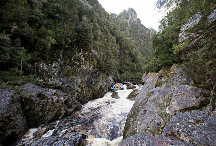 Franklin River Rafting, Franklin River, TAS © Tourism Australia