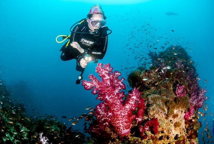Yongala Shipwreck, Great Barrier Reef, Queensland © Tourism and Events Queensland/Scuba Diver Life