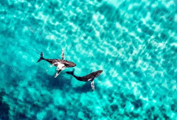 Byron Bay, NSW © Tourism Australia
