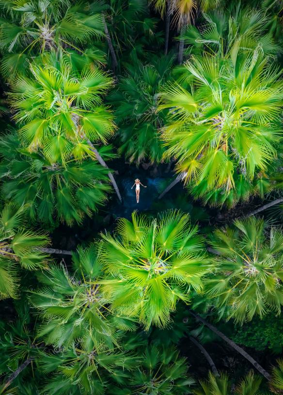 Zebedee Springs, El Questro Wilderness Park, Kimberley, WA © Tourism Australia