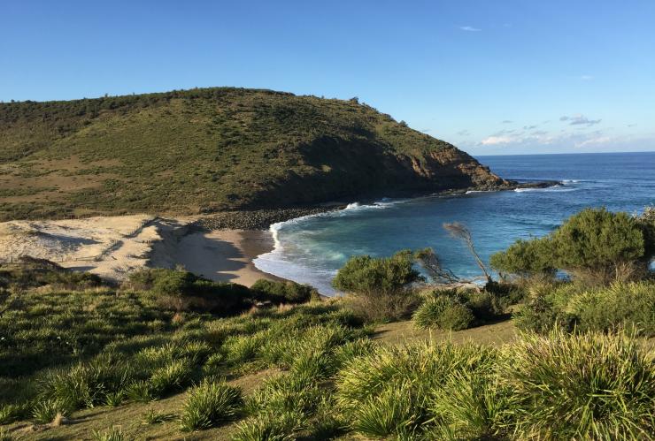 North Era Beach, Royal National Park, Sydney, New South Wales © Royal National Park