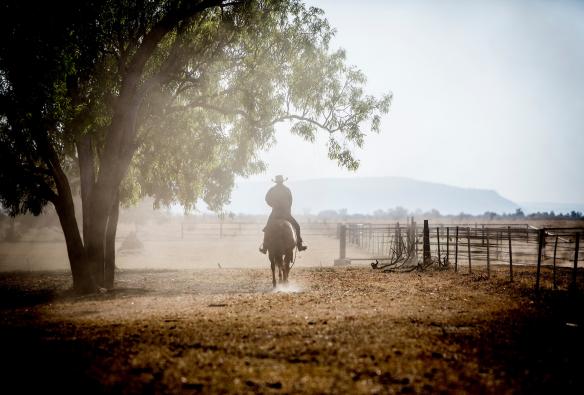 Bullo River Station, East Kimberley, Northern Territory © The Landsmith Collection/Martine Perret