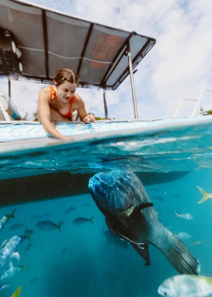 Whitsunday Paradise Explorer, Quần đảo Whitsundays, QLD © Tourism and Events Queensland