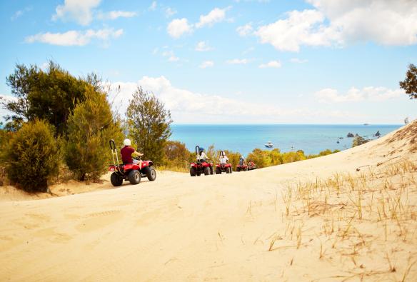 A group of people riding quad bikes on sand dunes beside bushland overlooking the ocean on  Moreton Island, Queensland © Tourism Australia