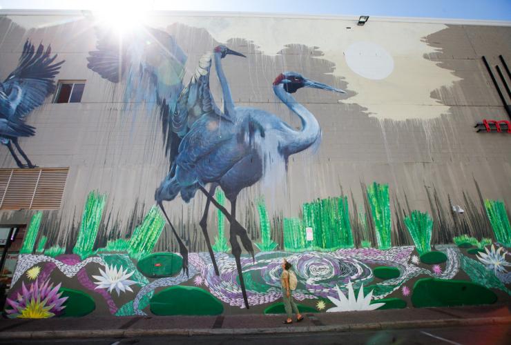 Street art, Darwin, Northern Territory © Tourism NT/Friederike Franze