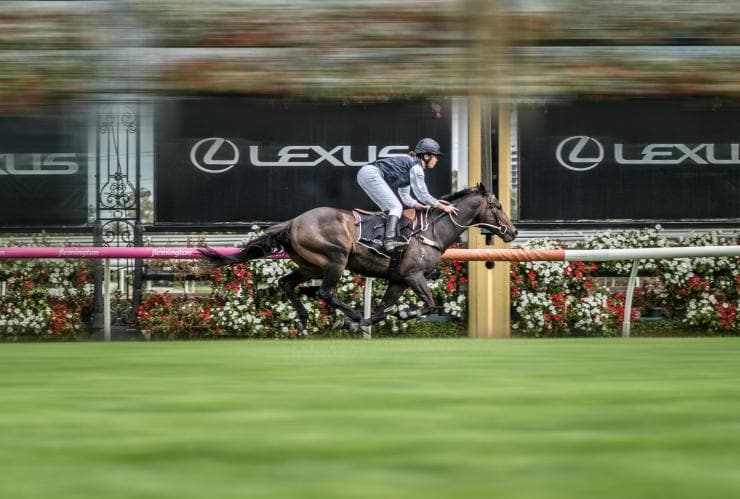 Lexus Melbourne Cup, Melbourne, Victoria © Victorian Racing Club