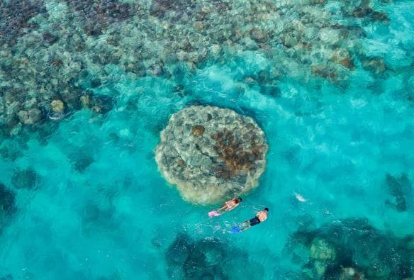 An aerial view of two snorkelers swimming above the coral reef in the Whitsundays, Great Barrier Reef, Queensland © Tourism Whitsundays