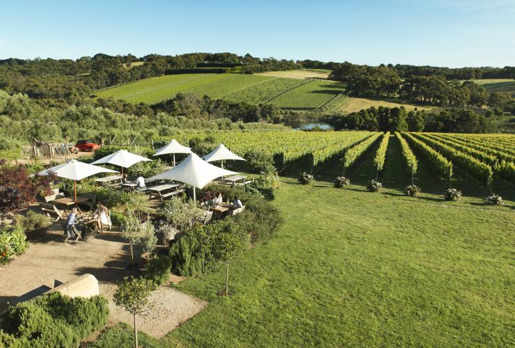 Aerial of Montalto Vineyard and Olive Grove, Mornington Peninsula, VIC © Tourism Victoria