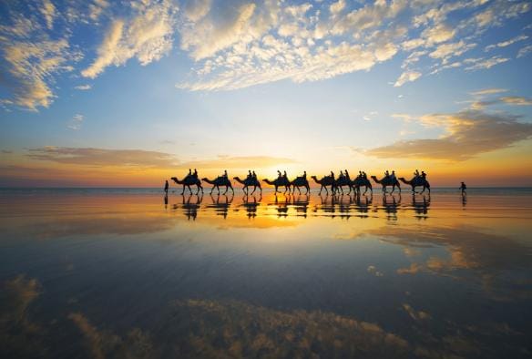 Lạc đà, Bãi biển Cable, thị trấn Broome, Tây Úc © Lauren Bath