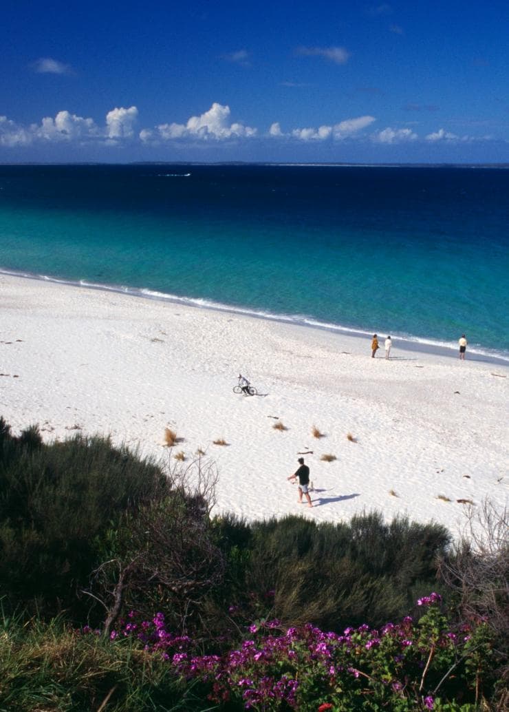 Bãi biển Hyams, Vịnh Jervis, New South Wales © Tourism Australia