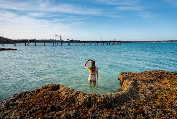 Vịnh Vivonne, Đảo Kangaroo, Tiểu bang Nam Úc © South Australian Tourism Commission