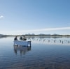 Saffire Signature Experiences, Freycinet Marine Oyster Farm, Coles Bay, Freycinet National Park, TAS © Tourism Tasmania