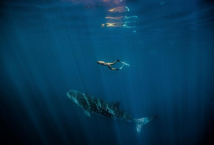 Ningaloo Reef, Western Australia ©  Tourism Western Australia