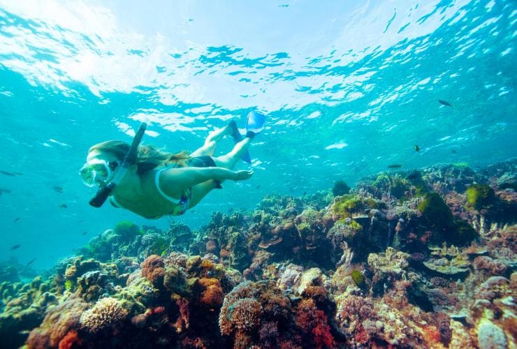 Snorkelling, Lord Howe Island, New South Wales © Destination NSW