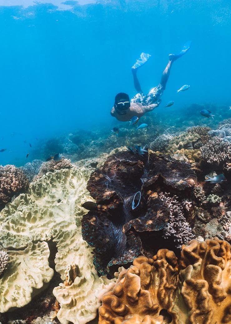 Ocean Rafting, Whitsundays, Queensland © Tourism Australia