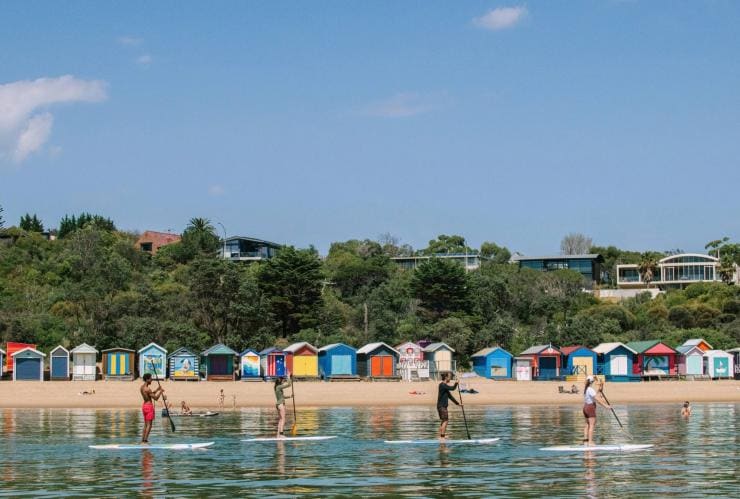 Một nhóm người chèo ván đứng trên vịnh nước êm, gần bãi biển có dãy hộp tắm nhiều màu sắc, Bãi biển Mills, Bán đảo Mornington, Tiểu bang Victoria © Visit Victoria