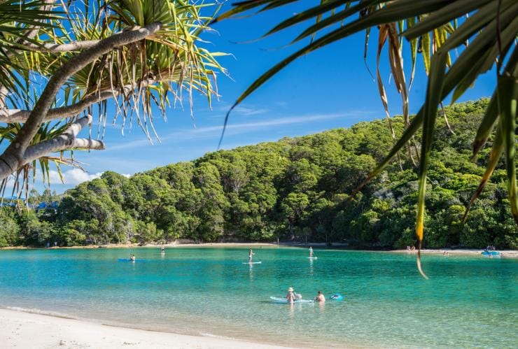Một dòng nước xanh ngọc nơi du khách đang chèo ván đứng, Lạch Tallebudgera, Thành phố Gold Coast, Tiểu bang Queensland © Tourism and Events Queensland