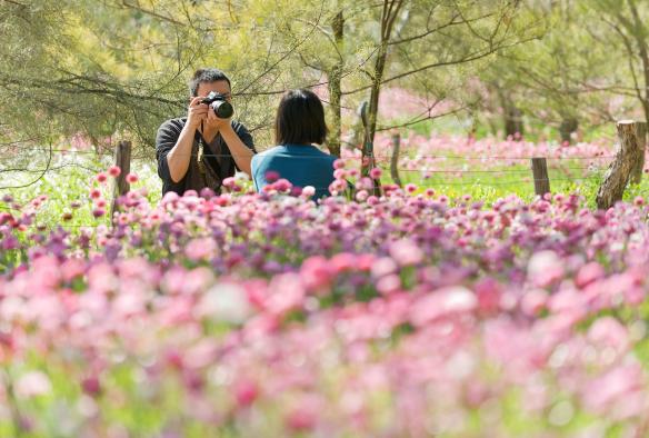 Vườn bách thảo Kings Park, Thành phố Perth, Tiểu bang Tây Úc © Botanic Gardens & Parks Authority