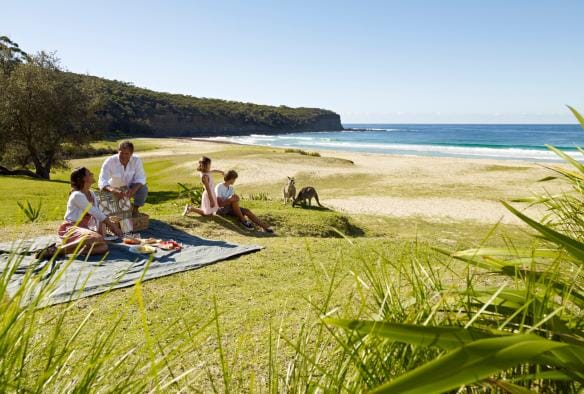 Bãi biển Pebbly, vùng Bờ biển South Coast, Tiểu bang New South Wales © Tourism Australia