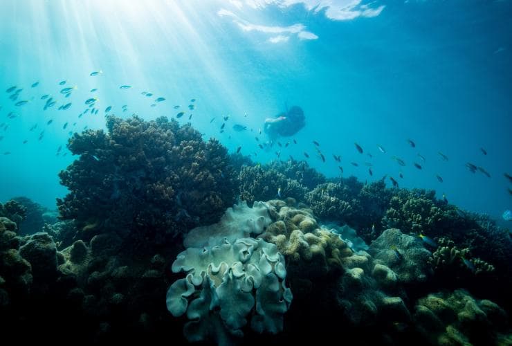 Whitsundays, Queensland © Tourism Australia