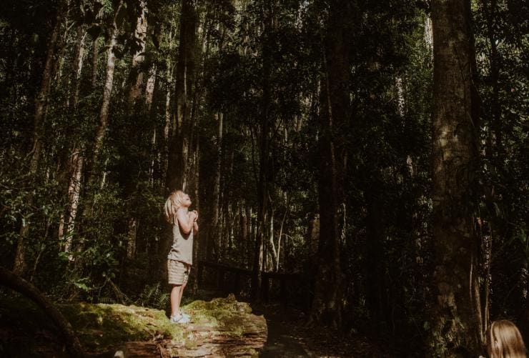 Kingfisher Bay Resort, K'gari, Queensland © Kingfisher Bay Resort