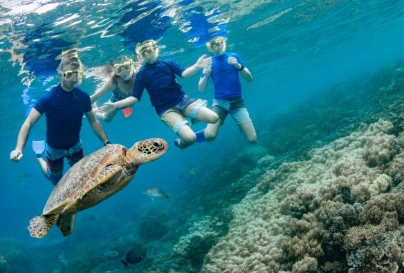 Sunlover Reef Cruises, Cairns, Queensland © Tourism and Events Queensland