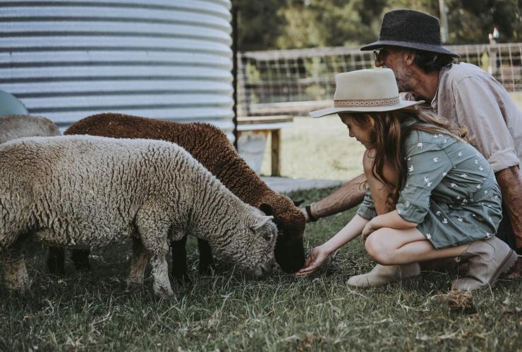 Sixty6 Acres, Sunshine Coast, Queensland © Sixty6 Acres