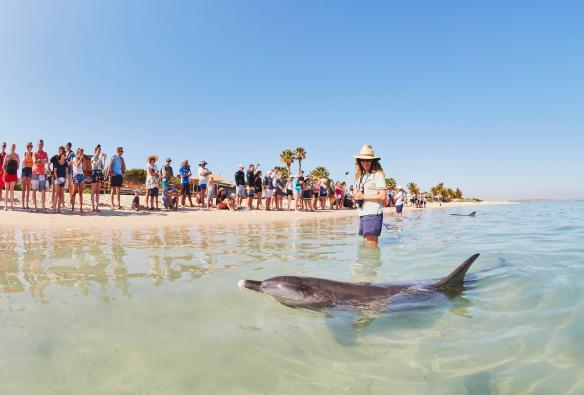 Monkey Mia, Western Australia © Tourism Western Australia
