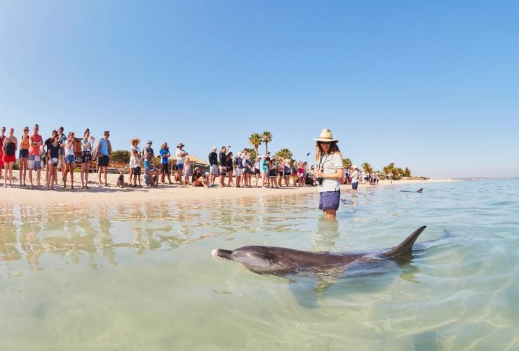 Monkey Mia, Western Australia © Tourism Western Australia