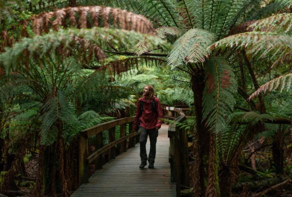 Hastings Cave and Thermal Springs, Huon Valley, Tasmania © Jess Bonde