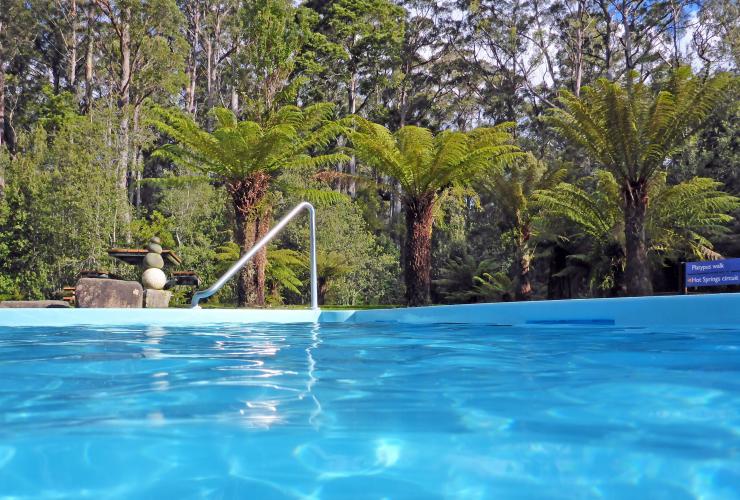 Hastings Cave and Thermal Springs,Huon Valley, Tasmania © Sarajayne Lada