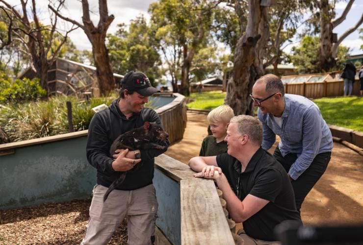 A family looking at a Tasmanian devil being held by a keeper at Bonorong Wildlife Sanctuary, Brighton, Tasmania © Dearna Bond