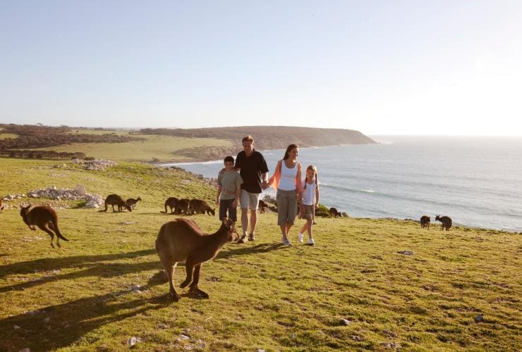 A family walks along a grassy hill surrounded by kangaroos at Stokes Bay, Kangaroo Island, South Australia © Tourism Australia