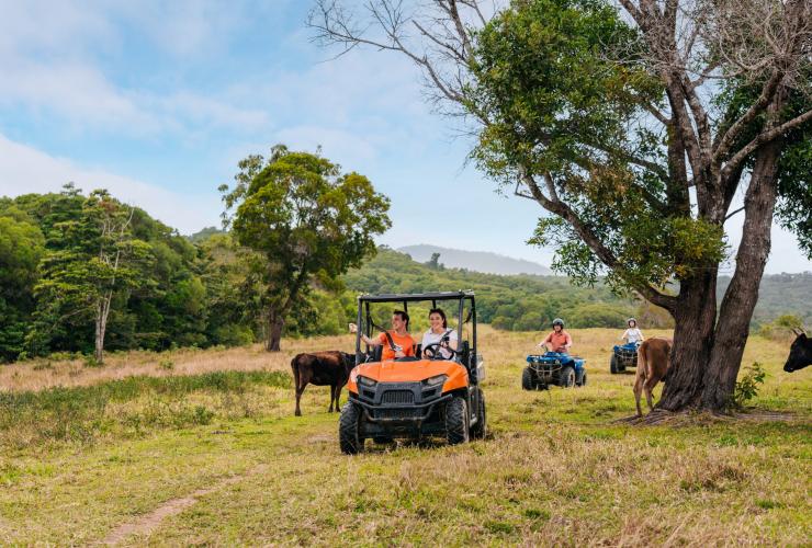 Driving around the farm on a self-guided ATV tour, Kur-Cow Barnwell Farm, Kuranda, Queensland © Tourism and Events Queensland