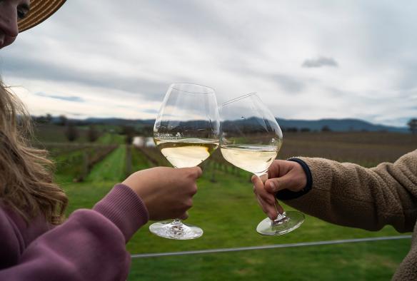 Hai du khách cầm ly rượu vang trắng trước vườn nho, Oakridge Wines, Thung lũng Yarra, Tiểu bang Victoria © Tourism Australia
