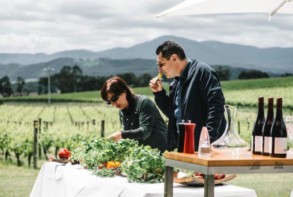 Oakridge Wines, Thung lũng Yarra, Tiểu bang Victoria © Tourism Australia