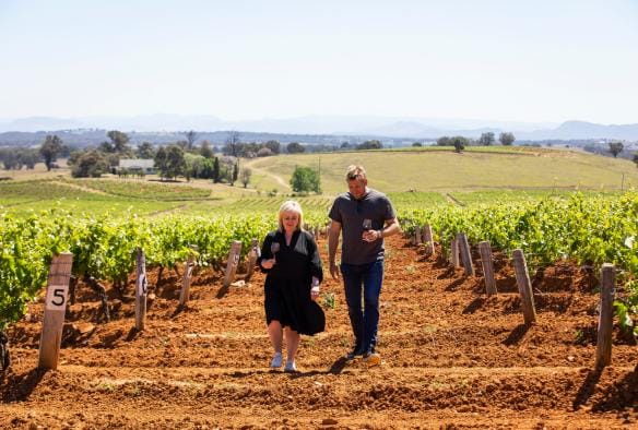 Hai người cầm ly rượu vang trong tay đi dạo qua vườn nho, Tyrrells Wines, Thung lũng Hunter, Tiểu bang New South Wales © Destination NSW