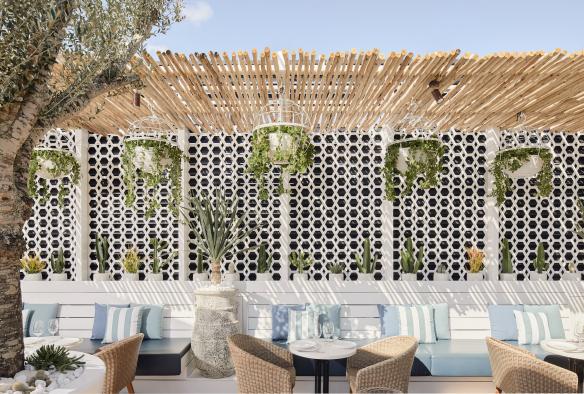A beachy rooftop bar lines with lounges, blue cushions and succulents at MAYA, Brisbane, Queensland © David Chatfield