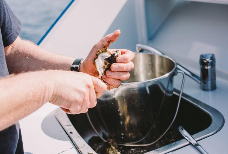 Tasmanian Seafood Seduction tour, Bruny Island, Tasmania © Tourism Australia & Ellenor Argyropoulos