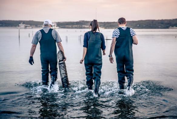Experience Coffin Bay, Eyre Peninsula, South Australia © South Australian Tourism Commission