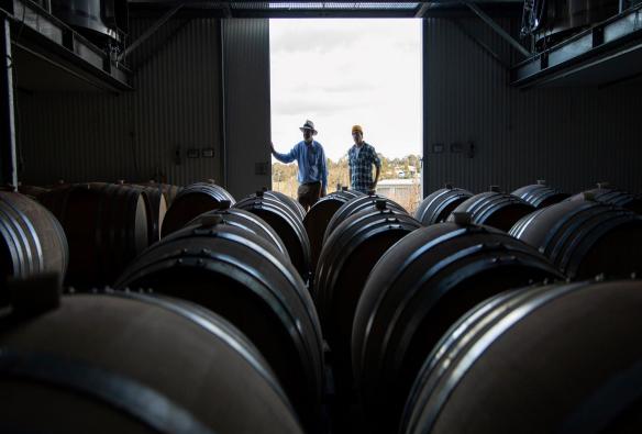 Clonakilla Winery, Canberra Wine District, New South Wales ©  Boomtown Pictures 