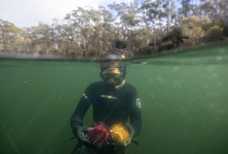 Seafood Seduction, Hobart, TAS © Tourism Australia