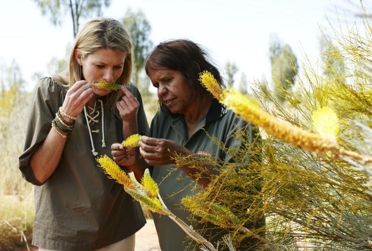 Bush Tucker Yarn, Yulara, NT © Voyages
