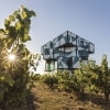 The d'Arenberg Cube, McLaren Vale, SA © d'Arenberg Pty Ltd