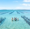 Experience Coffin Bay, Eyre Peninsula, South Australia © Tourism Australia