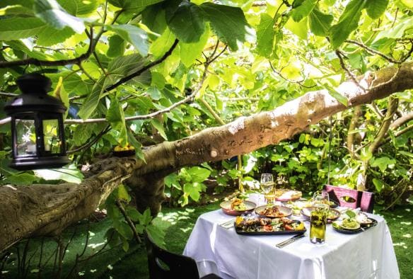 Một chiếc bàn được bày trí thức ăn và rượu vang dưới tán cây của Enchanted Fig Tree, Đảo Kangaroo, Tiểu bang Nam Úc © South Australian Tourism Commission