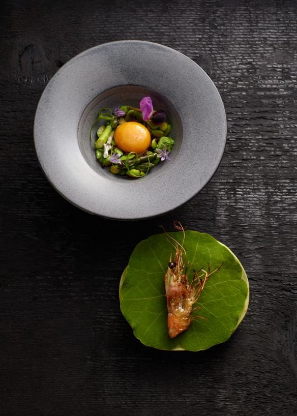 Plated dish Brae, Birregurra, Victoria © Brae 