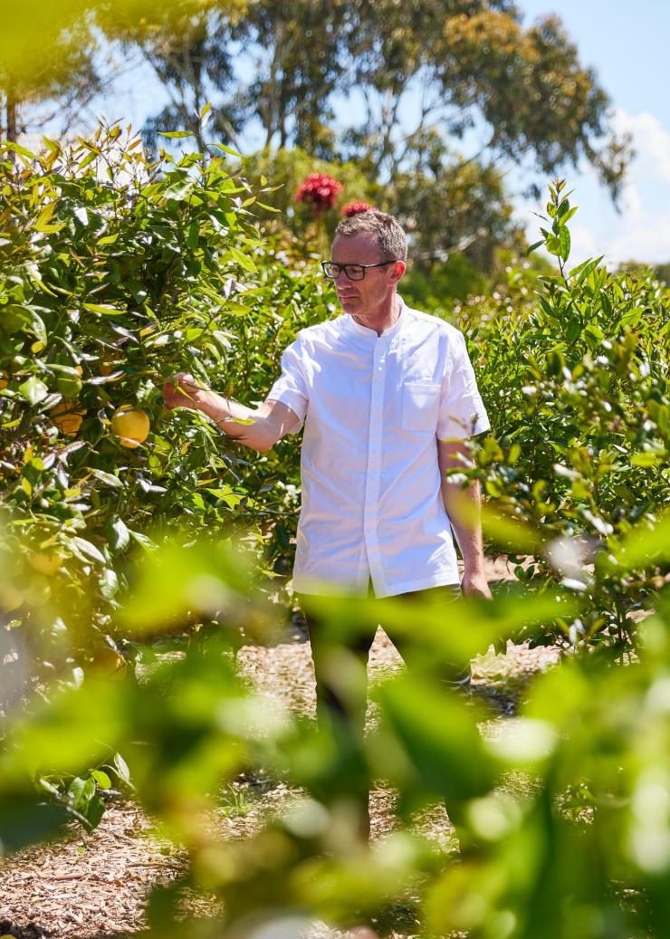 Chef walking through the garden at Brae, Birregurra, Victoria © Tourism Australia 